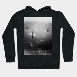 Ducks on a frozen lake Hoodie